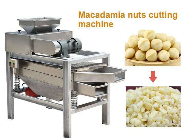 Máquina cortadora de nueces de macadamia